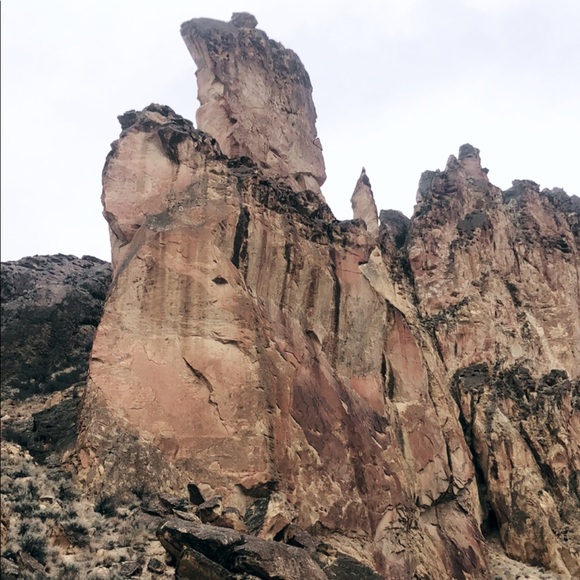 Meet your Posher, Liv - Picture 2 of 3